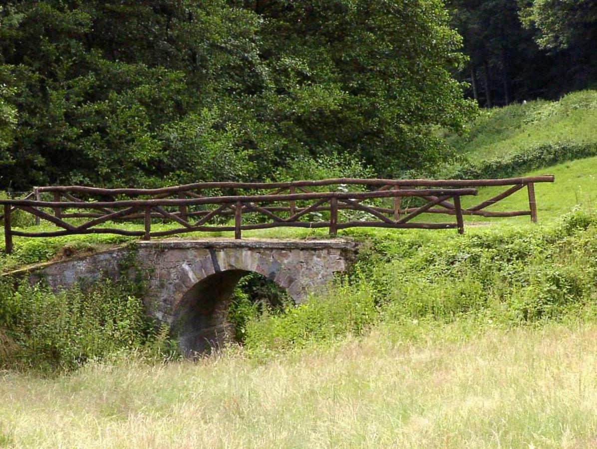 Waldblick Appartement Ober-Hambach Esterno foto
