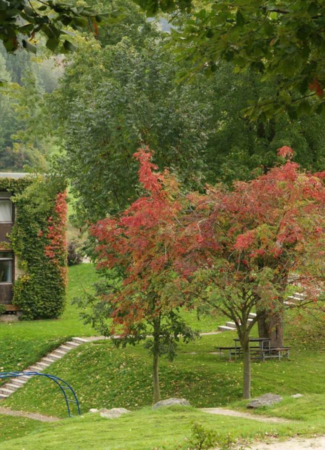 Waldblick Appartement Ober-Hambach Esterno foto