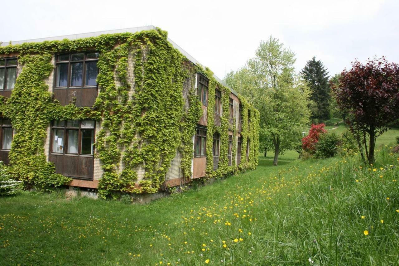 Waldblick Appartement Ober-Hambach Esterno foto