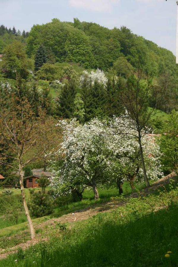 Waldblick Appartement Ober-Hambach Esterno foto